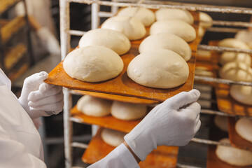 Dough for fresh bread before baking in oven. Automated bakery production line, food industry