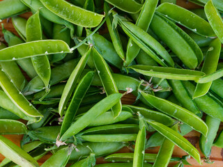 A background of empty pea pods