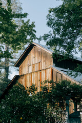 top of barn at sunset, tall green trees
