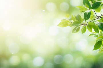 Obraz premium Nature's Panoramic Symphony: Fresh Foliage and Bokeh in Spring-Summer Frame. AI Generated.