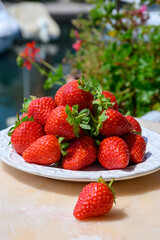 New harvest, plate of ripe red sweet strawberry ready to eat close up