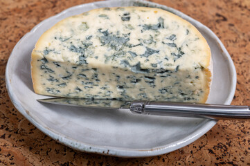 Cheese collection, piece of French blue cheese auvergne or fourme d'ambert close up