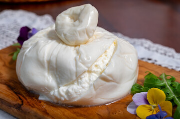 Eating of fresh handmade soft Italian cheese from Puglia, white balls of burrata foglia saporosa or burratina cheese made from mozzarella and cream filling close up