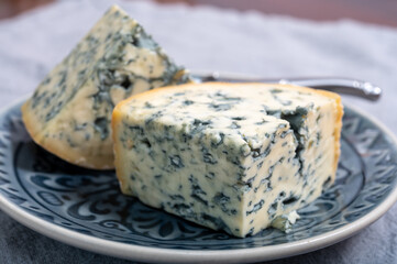Cheese collection, piece of French blue cheese auvergne or fourme d'ambert close up