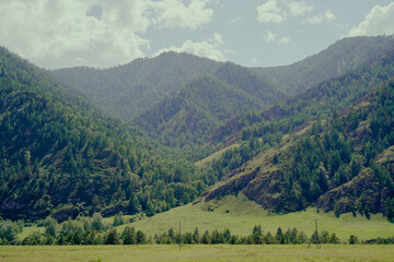 Beautiful landscape with mountain in Altai Republic. Gorgeous picturesque hills with green trees under cloudy sky. Concept of tourism, Russian nature and Siberia