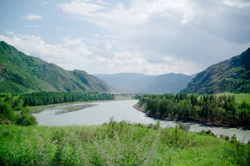 Obraz premium Picturesque landscape of Altai Republic in Siberia. Green grass with trees and lake, mountain and hills under cloudy sky in summer. Concept of tourism and travel to Russia
