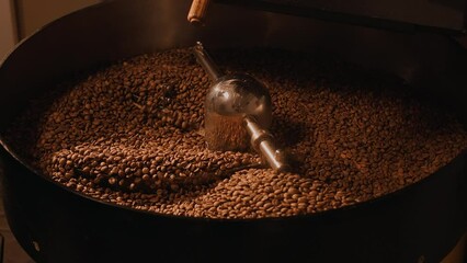 Freshly roasted coffee beans from a large coffee roaster in mixing cooling machine