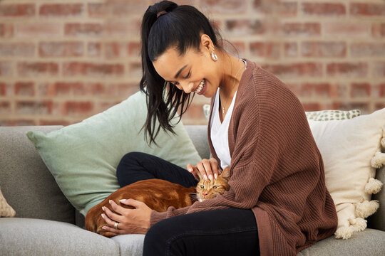 Love, Woman With Her Cat And On A Sofa In Living Room Of Her Home Sitting. Animal Care Or Support, Quality Or Bonding Time And Happy Female Person Pet Her Kitten On A Couch Together At Her House