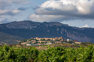 View of Laguardia between vineyards at sunset with Sierra Cantabria in the background.
