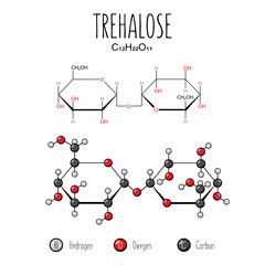 Trehalose skeletal and flat representation. Skeletal formula and 2d structure illustration. Web style illustration. Vector editable