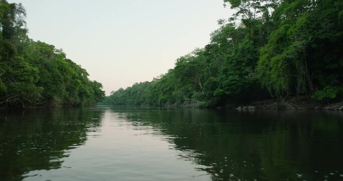 Sunset Serenity: Tranquil Moments on an Amazon River in the Heart of the Rainforest