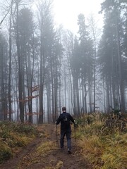 Fototapeta premium Man or a tourist walking or hiking in the forest in the nature.