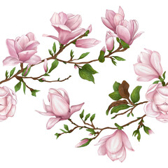 Coupon pattern of pink magnolia branches on a transparent background