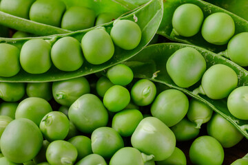 Green pea and pea pods. Peas background. Closeup, macro shot of fresh pea. Pea pod with beans.
