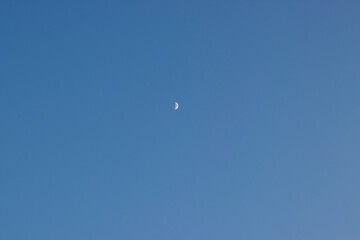 moon in the sky