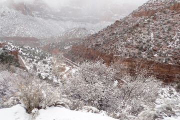 Snow in winter at  Zion National Park, Utah