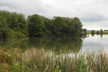 The beautiful scenery of Middle Creek Lake, during the Autumn season. Lancaster County, Pennsylvania.