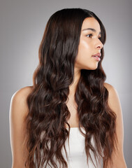 Woman with hair, beauty with balayage and curly hairstyle with haircare and keratin treatment on studio background. Female person with shine and texture, growth and grooming with glamour and glossy