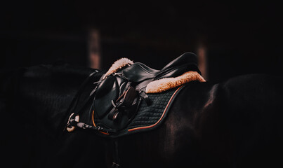 In the twilight of a summer day, can see a saddle and horse ammunition, dressed on a black horse. Equestrian sports and horse riding. - obrazy, fototapety, plakaty