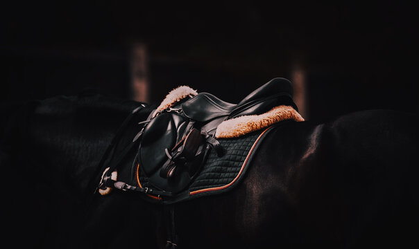 In the twilight of a summer day, can see a saddle and horse ammunition, dressed on a black horse. Equestrian sports and horse riding.