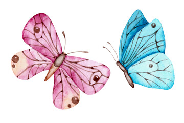 Butterflies watercolor illustration. Blue butterfly. Purple butterfly. Insects. Summer meadow. Watercolor аrt. Illustrations isolated. For printing on stationery, cards, stickers, fabrics.