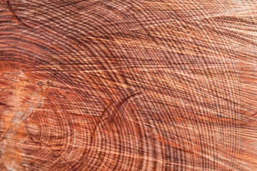 Holz Lebenslinien Nahaufnahme Struktur 