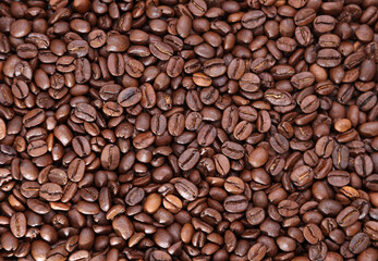 Roasted coffee beans