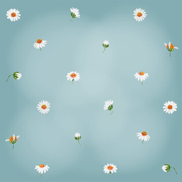 Daisy - Gänseblümchen, Aquarell Illustration watercolor Clipart Blume Hochzeit Flower handmadecards kartengestaltung Muster pattern