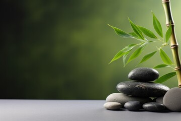 a serene bamboo plant resting on a bed of rocks