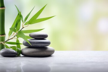 Obraz na płótnie Canvas Zen garden with a bamboo plant and rocks on a table