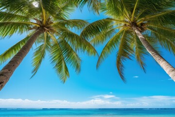 Fototapeta premium two palm trees standing tall on a pristine beach with crystal clear blue water