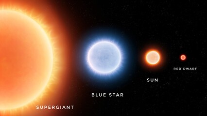Red supergiant, blue star, sun and red dwarf. Comparison of stars of different types and temperatures on a black background.
