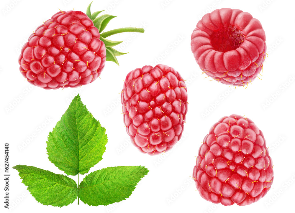 Poster collection of isolated raspberry fruits, isolated on white background
