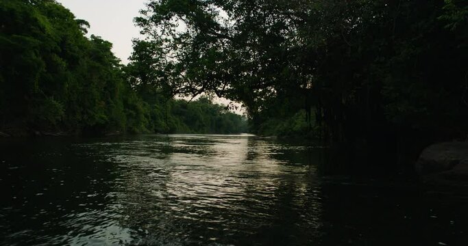 Sunset Serenity: Tranquil Moments on an Amazon River in the Heart of the Rainforest