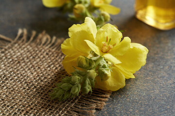 Obraz na płótnie Canvas Fresh mullein or Verbascum densiflorum flower on a table