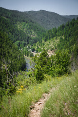 Town of Avery in northern Idaho in panhandle in summer next to St. Joe River with dirt trail in foregorund