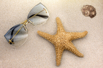 Falt lay - okulary przeciwsłoneczne, damskie, w złotych ramkach leżące na piasku, na plazy. Obok rozgwiazda oraz muszla. Bogactwo plaż na florydzie.  - obrazy, fototapety, plakaty