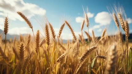 Fototapeta premium Grain growing in a field. Generative AI