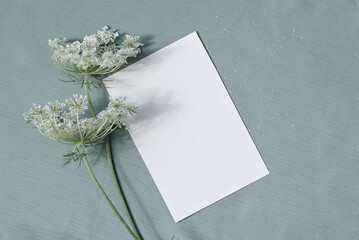 Aesthetic boho background, blank paper card mockup with copy space, minimal neutral business, brand template