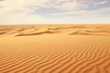 A desert with a few sand dunes and mountains in the background. Digital image.