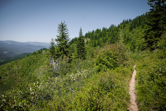 Dirt trail on steep hillside of mountain in Kellogg Idaho looking out over mountain valleys
