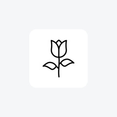 Flower, Rose Vector Line Icon