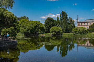 Obraz premium landscape with lake and trees