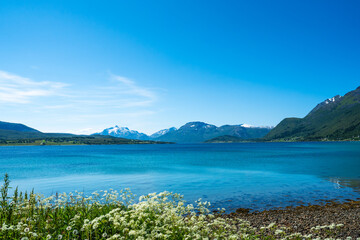 Fototapeta premium Beach, Lofoten, Norway. Stunning view point of mountains and blue sea Lofoten islands. Summer landscape and beach in Lofoten Islands.