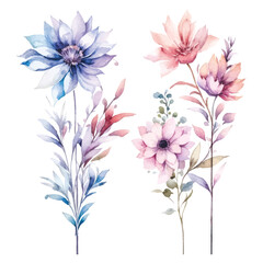Fototapeta na wymiar Soft Pastel Floral Clipart with Fairy Elements