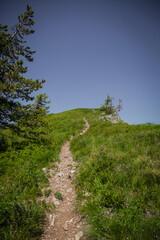 Dirt trail winding up grassy wide open hillside in Wallace Idaho on edge of mountain in summer