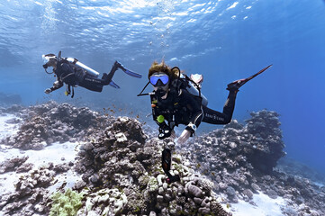 Divers in the Red sea in Dahab. Scuba diving in Egypt