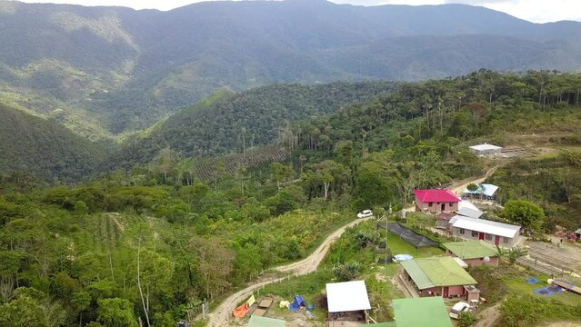 Coffee plantation in the Bolivian mountain jungle