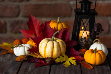 Cozy home fall composition with orange munchkin pumpkins, yellow and red leaves, black candle...