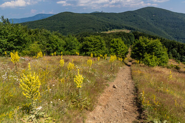 Fototapeta na wymiar Hiking trail on Shipka Peak, Bulgaria